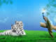 free picture tigle