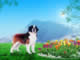 Free picture dog