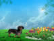 Picture 8