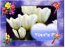 Ecard greeting 8