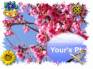 Ecard greeting 3