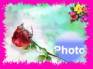 Ecard greeting 11