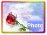 Ecard greeting 3
