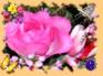 Ecard greeting 2