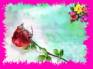 Ecard greeting 11