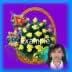 Flower basket 34