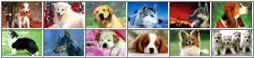 background e-card 1