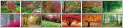 background e-card 6