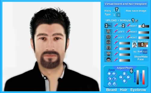 Virtual beard