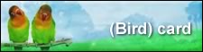background business card bird
