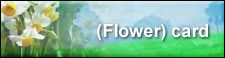 background business card flower 3