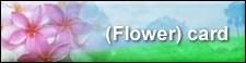 background business card flower 4