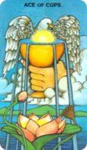 tarot card deck morgan greerTHE ACE OF CUPS