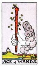 tarot card deck rider waite THE ACE OF WANDS